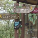 스카이투어 네이버블로그