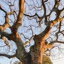 서동1구 이미지