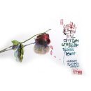 꽃그리고캘리그라피