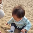 대빵놀이터