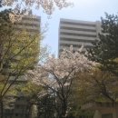 세종청사 6동_3 이미지