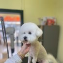 살롱드 베베 이미지