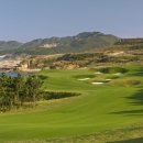 아리랑 커피호프 이미지