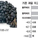 진정한 슈퍼푸드는 가까이 있다 이미지