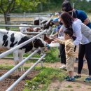 나나목장 이미지