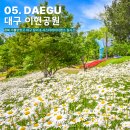 비행기조형물 | 경북 가볼만한곳 대구 이현공원 대구 장미 샤스타데이지 명소 실시간