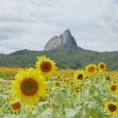 농업기술센터 본관 화장실 이미지