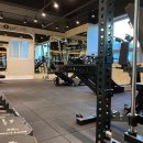 라이프핏 이미지