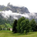 풍금소리 이미지