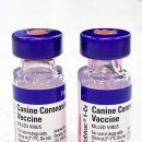 고은약국 이미지