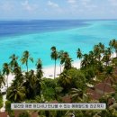 파레스식당 이미지