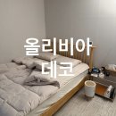 새솜 | 알러지케어 이불세트 Q l 올리비아데코 먼지 없는 반려동물 이불패드침구 고양이 키우는 집 후기