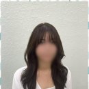 아이딜릭 네이버블로그