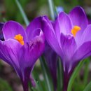 스마트폰 활용교실 이미지