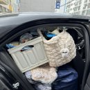들살이 행복오토캠핑장 | 울산 언양 들살이오토캠핑장/아들둘과