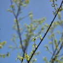 (주)니트로아이 | 가장 맑은 연두를 볼 수 있는 계절