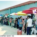 정종순농장 네이버블로그