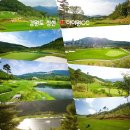 하이원 컨트리클럽 이미지