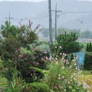 작은풍경소리민박 이미지