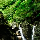 지리산농협주유소 이미지