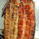 바다장어 이미지