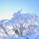 제48차 화합등반(용마산)및 시산제 참석인원 및 찬조현황 이미지