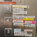 리틀쇼팽피아노교습소 - 고양시 일산서구 웅비로12번길 5-17 | 리틀쇼팽피아노교습소