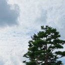 양주 평화의 소녀상 이미지