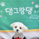 댕그랑댕 이미지