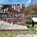 추원모차골 이미지