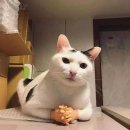 길이식당 - 성동구 사근동길 21-1 | 길이식당