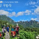 잘 차려진 구첩반상의 '진안 구봉산', 배터져 죽다 살아났어요. 이미지