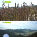 초막농장 이미지