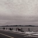 제부비치타운 이미지