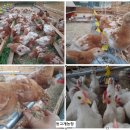 순환농장 이미지