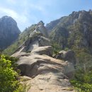 덕성당구장 이미지