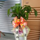 사토 개러지 이미지