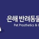 은해반려동물보조기 네이버블로그