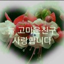 친구랑 이미지