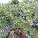 알찬농장 이미지