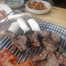 꼴통돼지 이미지