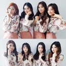 초코코(chococo)