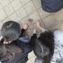 안양부흥초등학교 이미지