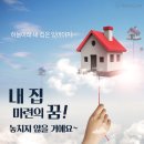 니얼바이커피 | K-예절보이 까미쓰와 일본예능 불량연애..