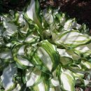 한밀지역아동센터 이미지