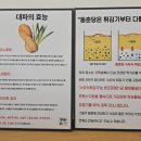 동춘당꽈배기 이미지