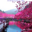 소망부동산중개 이미지