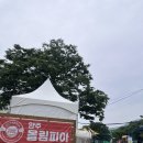 올림피아 수영장 | [경기 취식가능 야외수영장] 캠핑 감성 가득! 양주 올림피아 수영장 솔직 후기