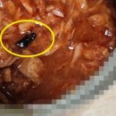 모참치 이미지