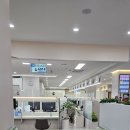 서초구청직장 | 직장인도 퇴근후 연차 없이 혼인신고 가능? 서초구청 OK민원센터 야간 민원실에서 혼인신고한 리얼 후기